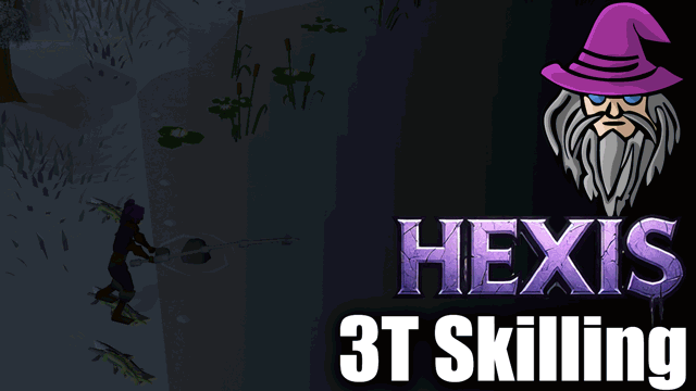 Hexis 3T Skilling